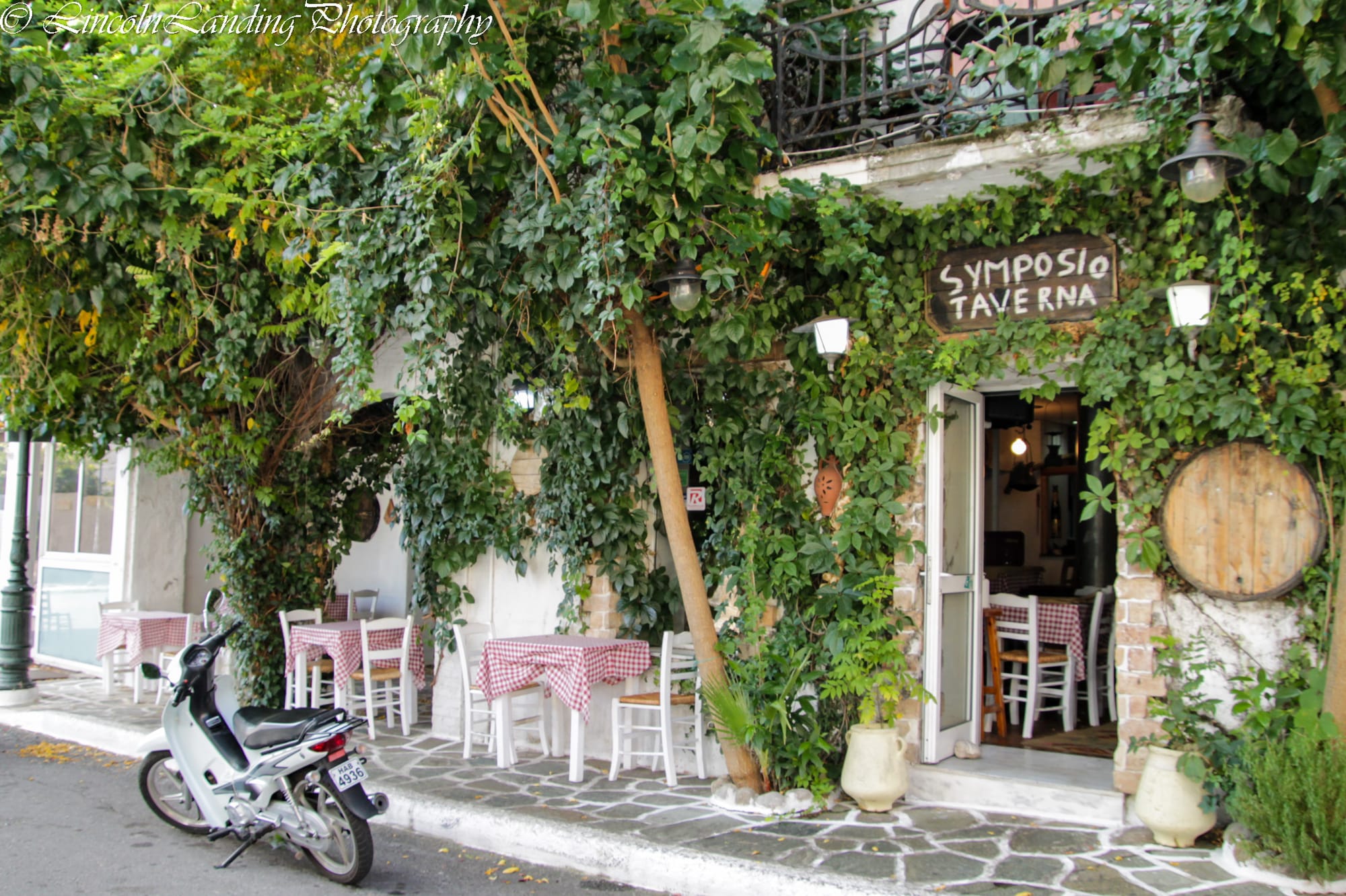 What in the World?!- with Liesa